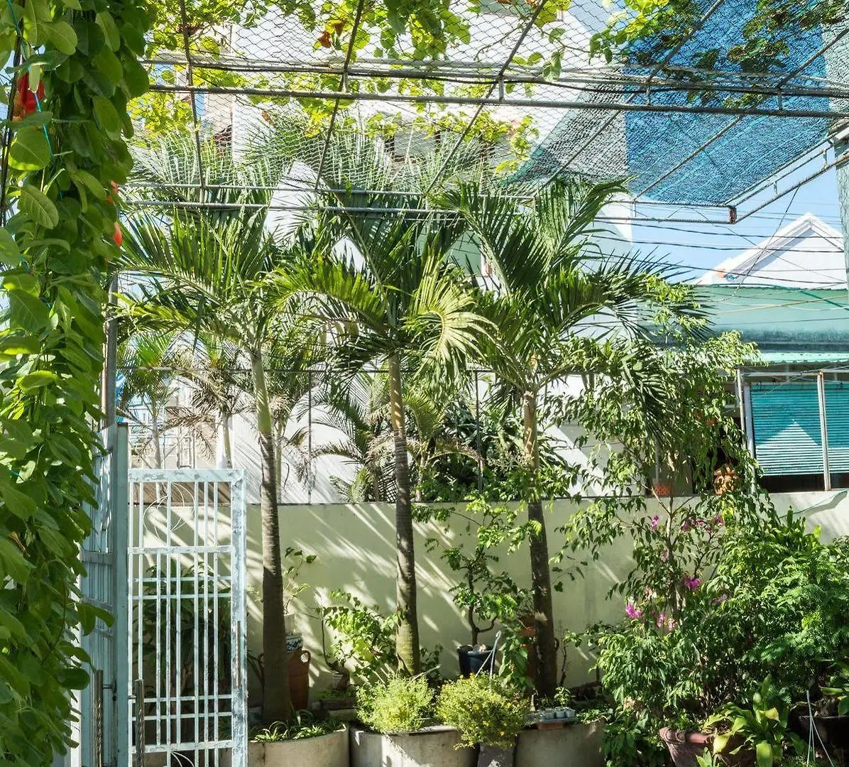 Areca Homestay Hoi An 0*,  Vietnam