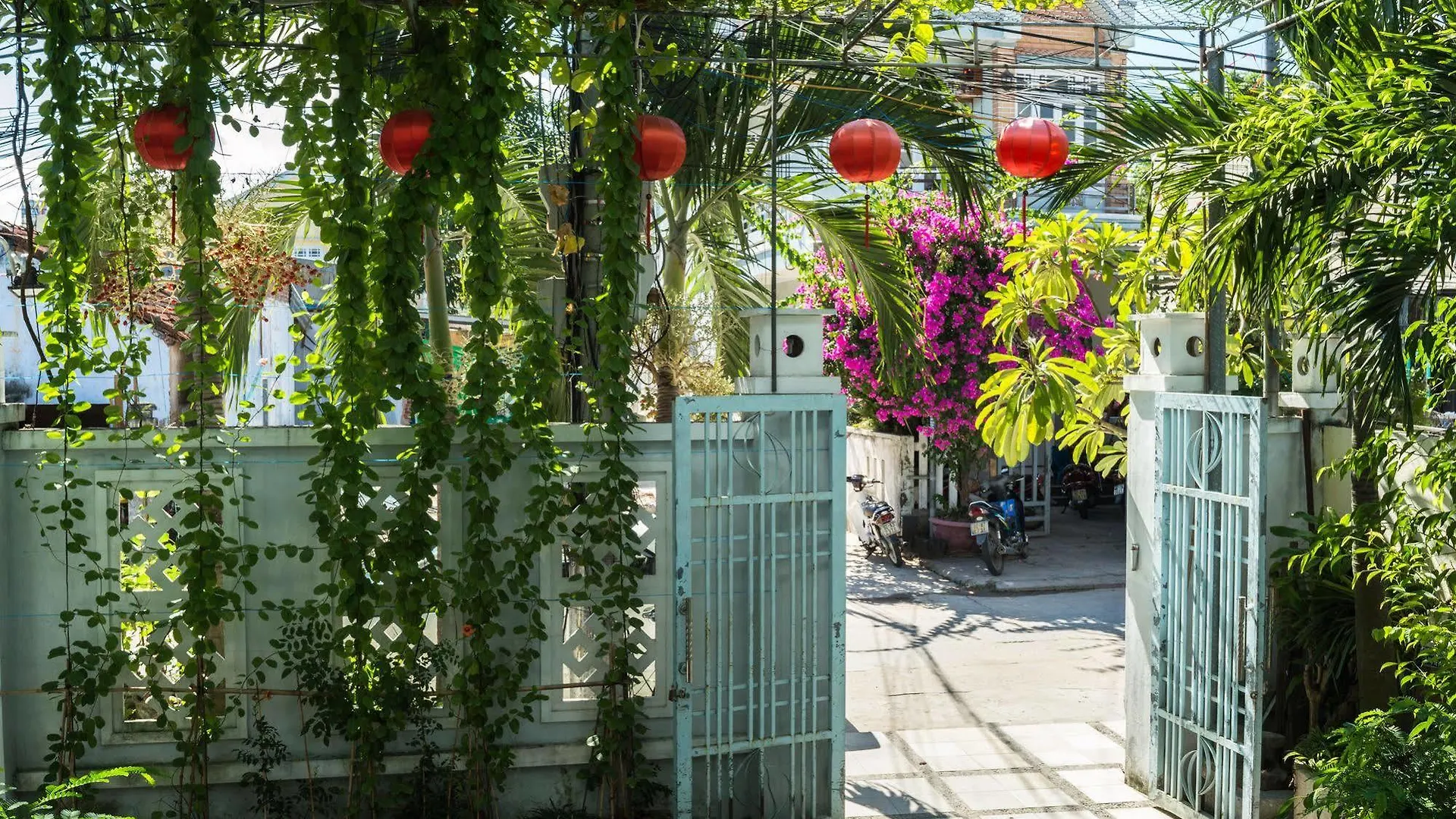 Areca Homestay Хойан